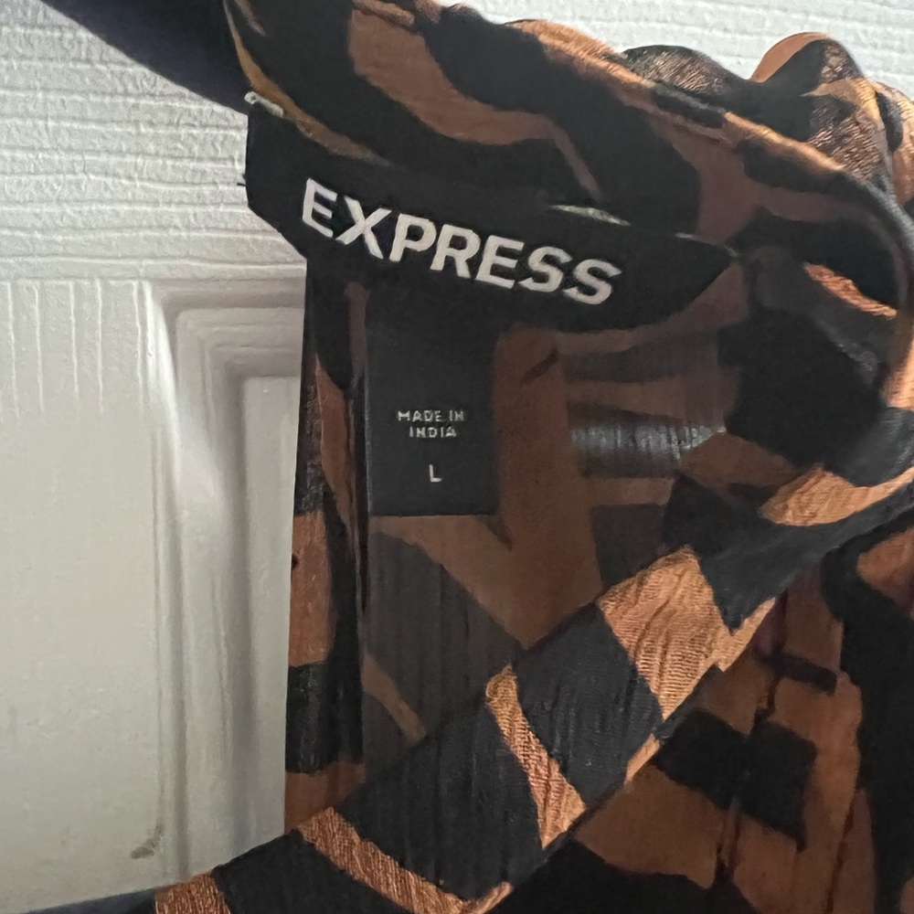 Express Dress - Picture 7 of 8